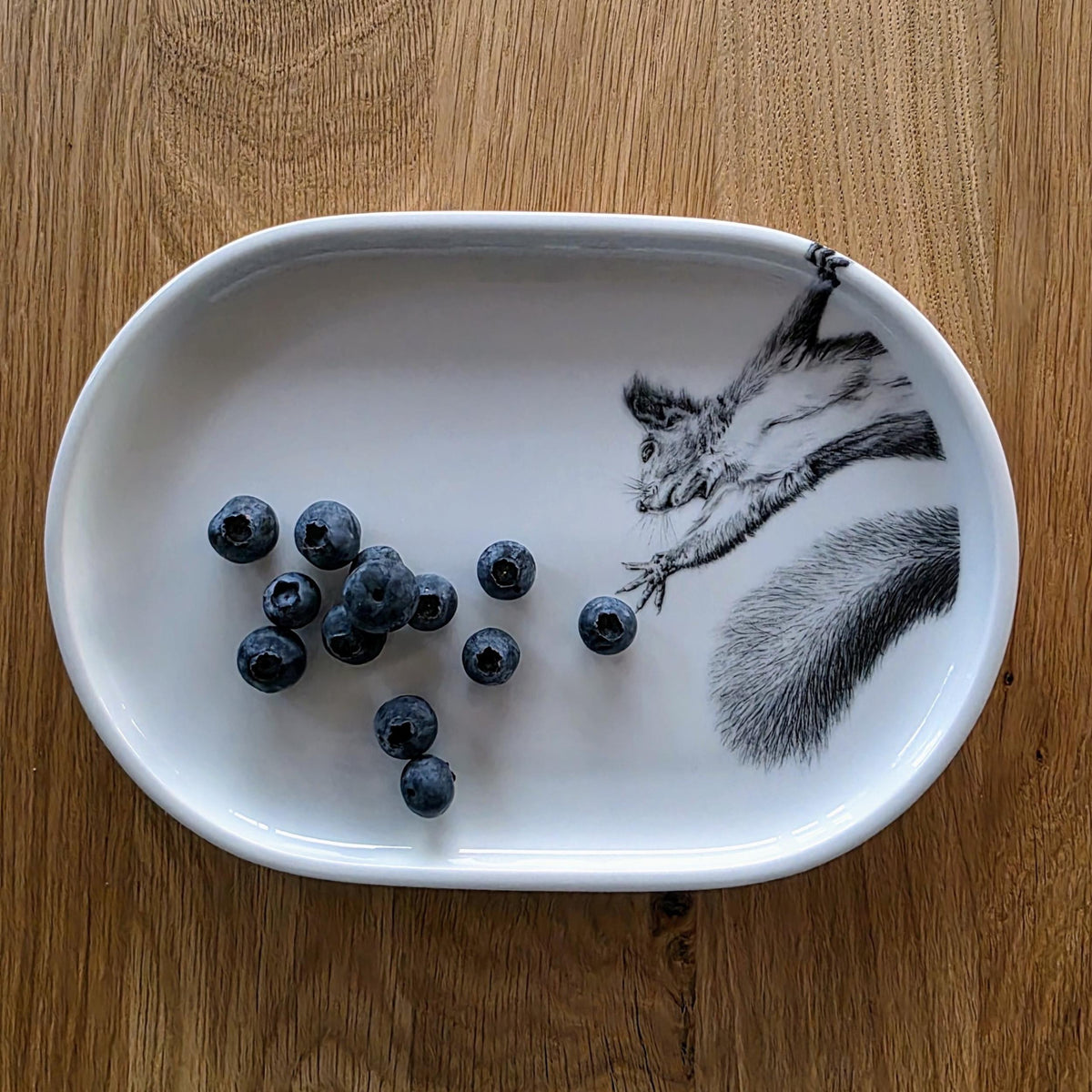 Platte - Eichhörnchen greift