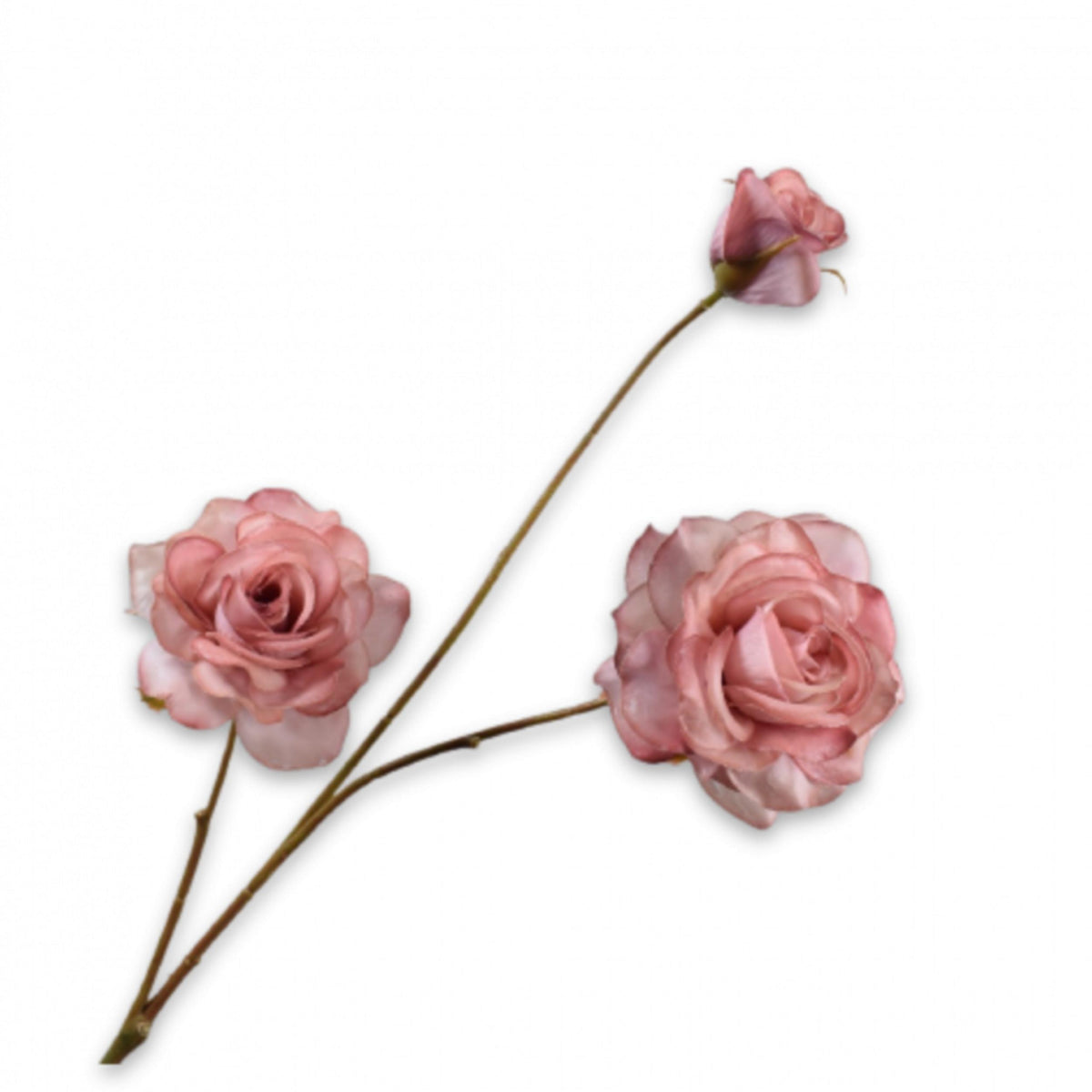 Rosenzweig - mauve - 67cm