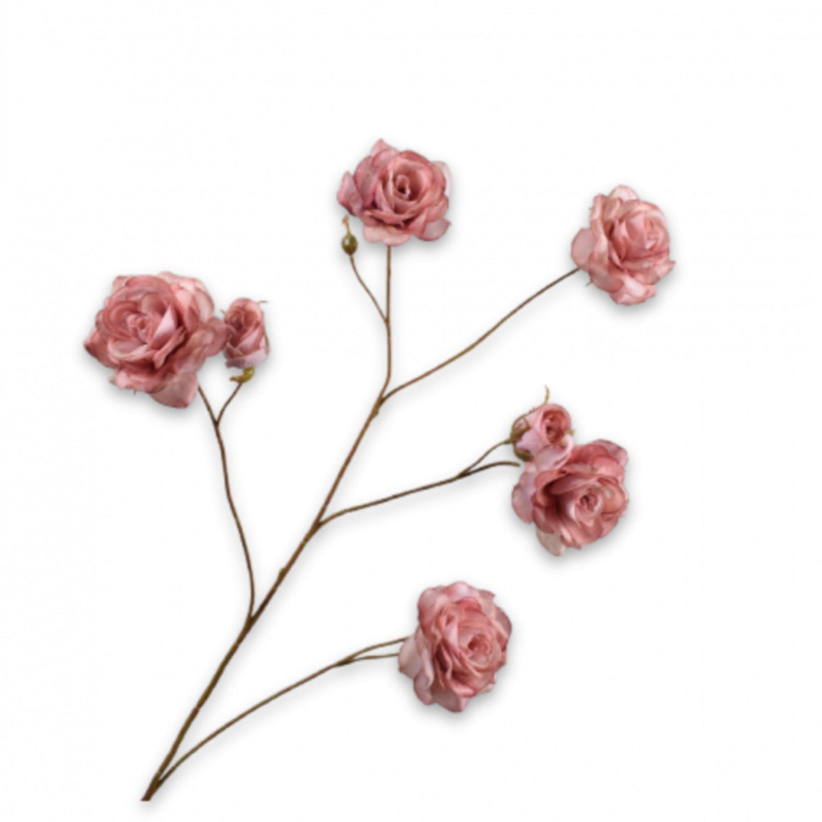 Rosenzweig - mauve - 93cm
