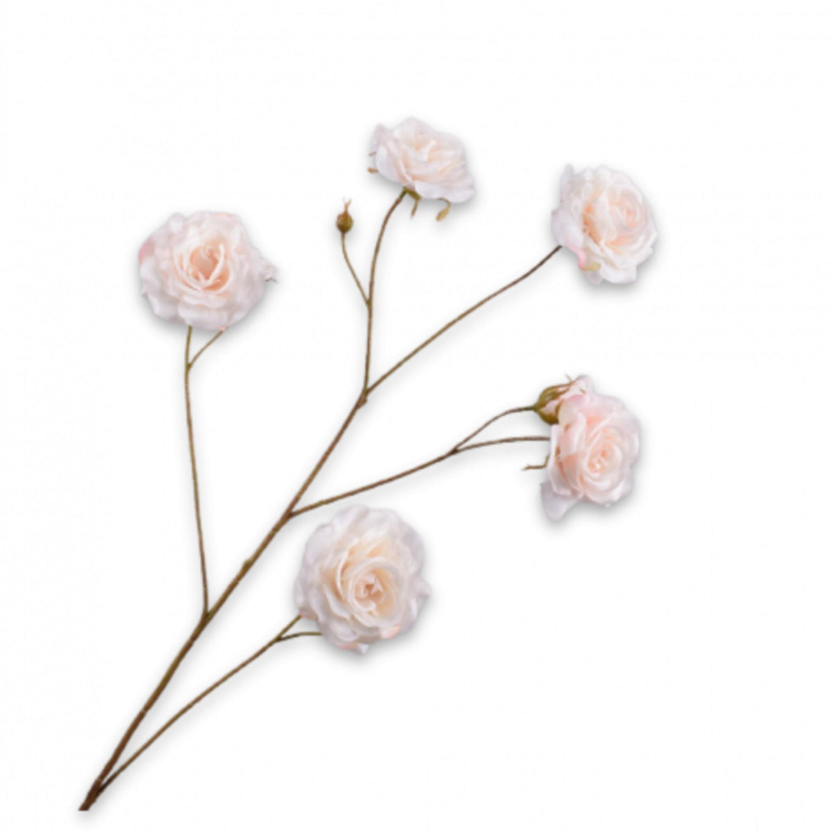 Rosenzweig - creme - 93cm