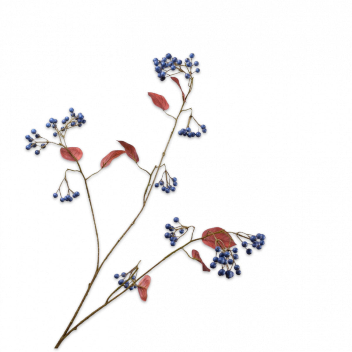 Beerenzweig - blau - mit Blätter