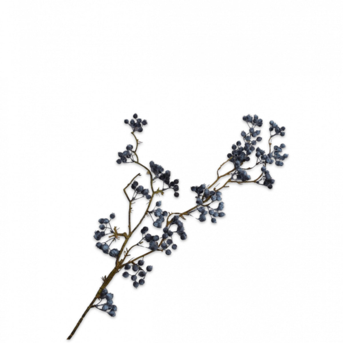 Beerenzweig - blau