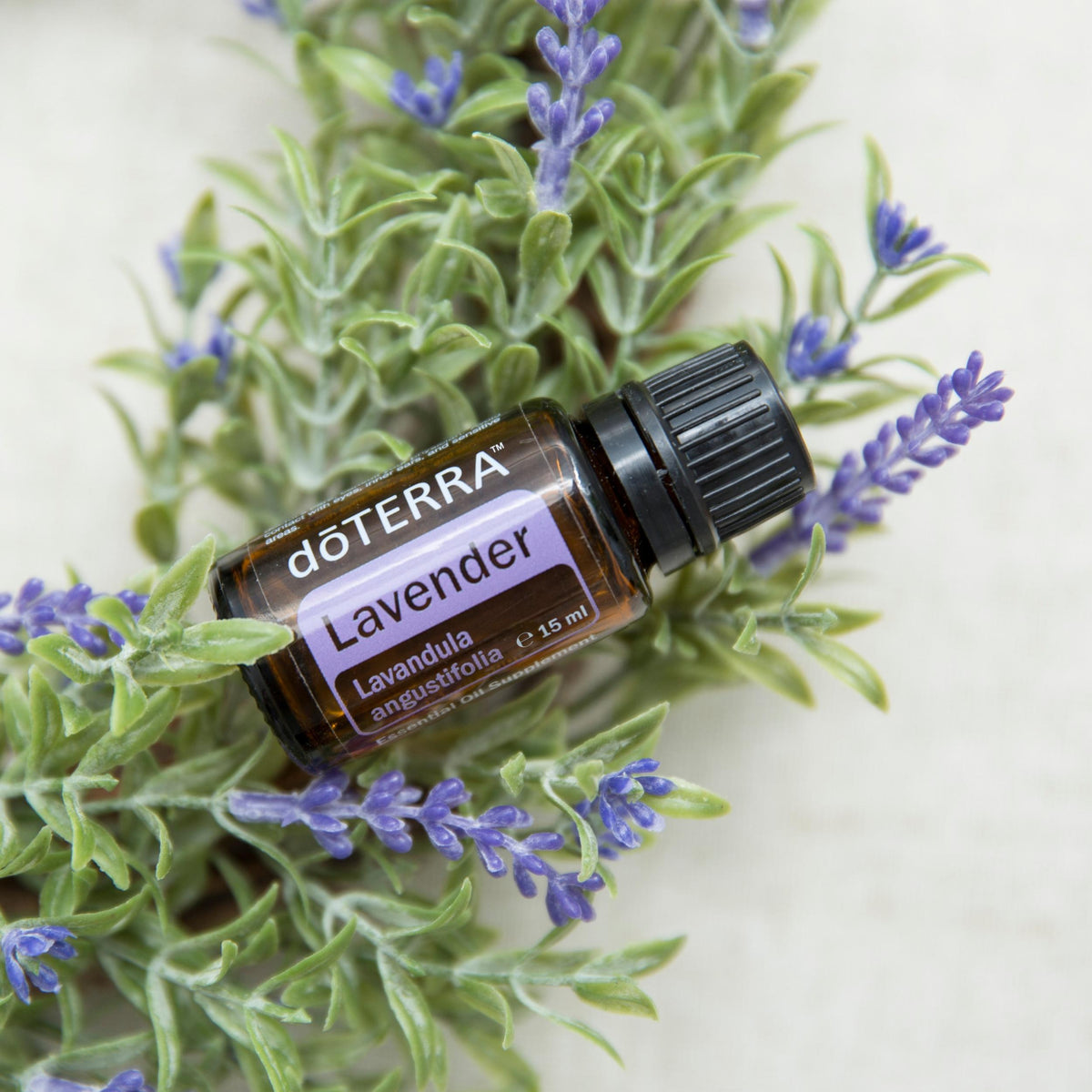 dōTERRA Lavendelöl