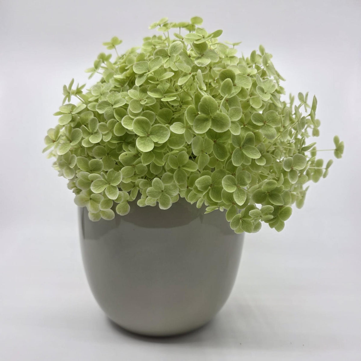 Vase Ania - glossy sand