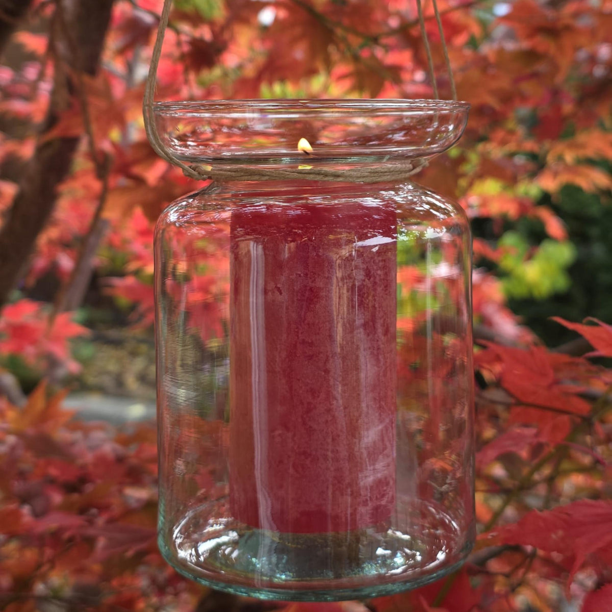 Timber- Kerzen - cranberry - schadstofffrei - 5 x 10cm