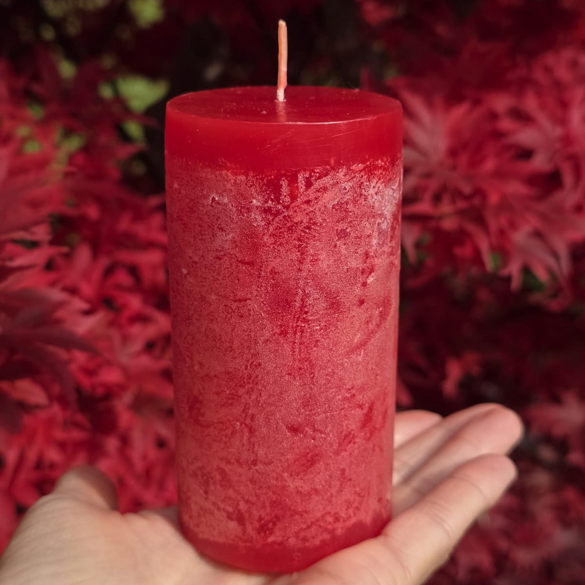 Timber- Kerzen - cranberry - schadstofffrei - 5 x 10cm