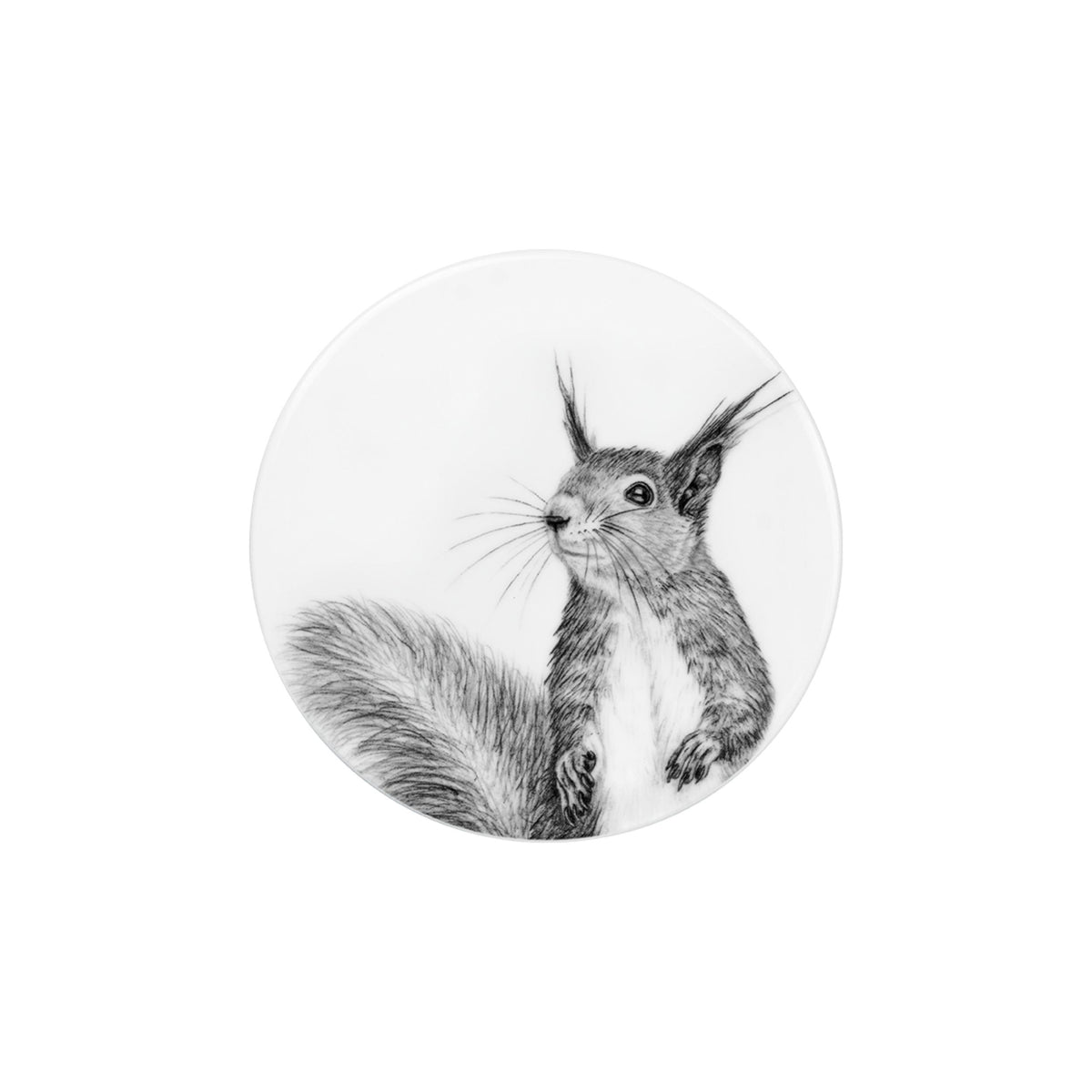 Deckel/Untersetzer - Eichhörnchen