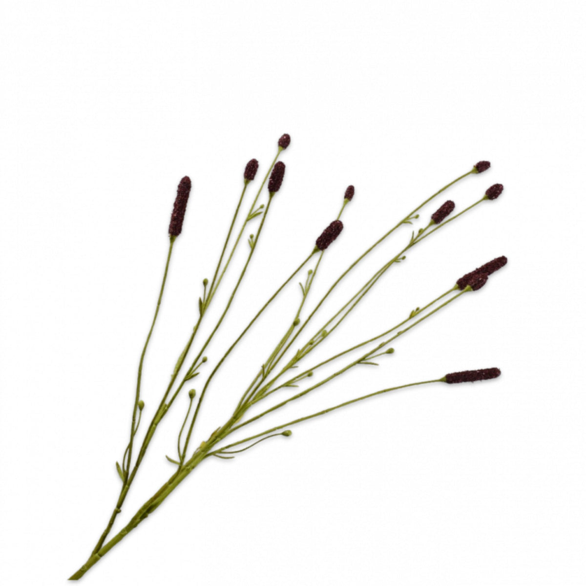 Kunstblume Pimpernel Zweig